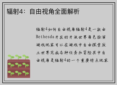 辐射4：自由视角全面解析